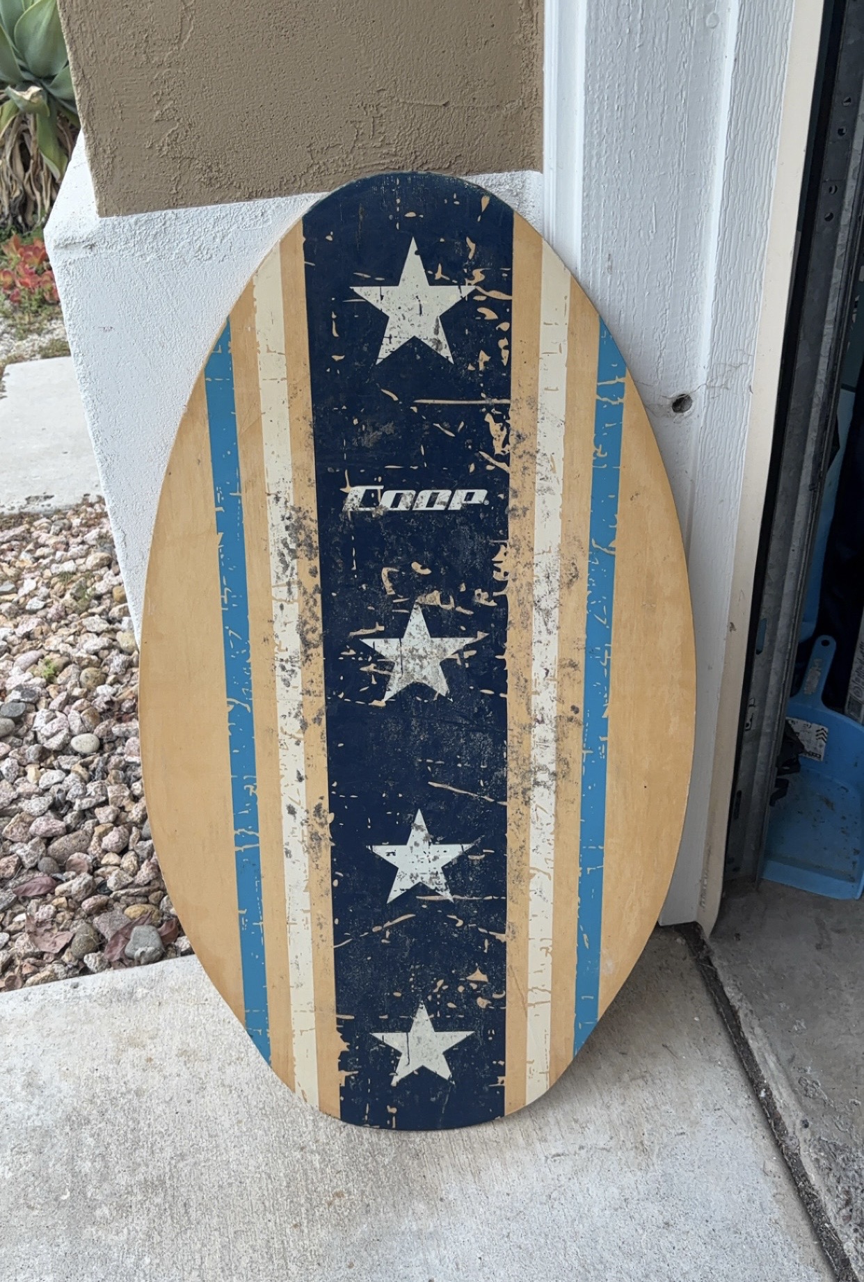 Coop skimboard